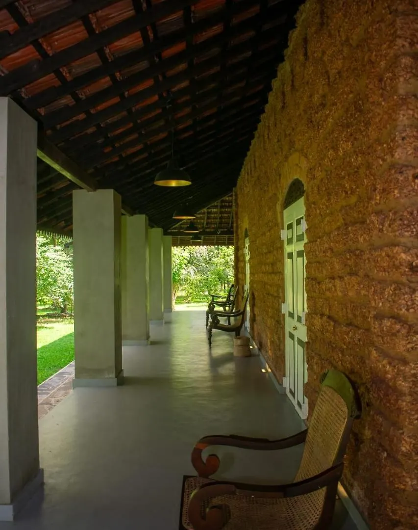 נגומבו Coco Villa Cinnamon סרי לנקה
